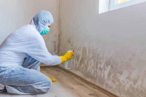 Mold Remediation specialist working in Wayne